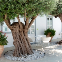 Orloff Resort Spetses